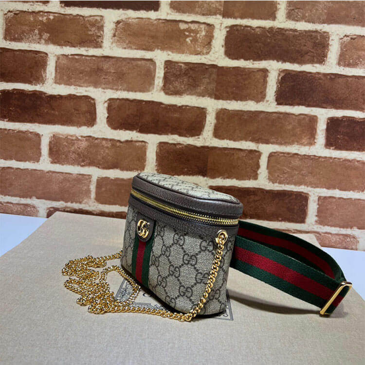 Replica Gucci Ophidia GG Belt Bag 699765 96IWG 8745 (3)