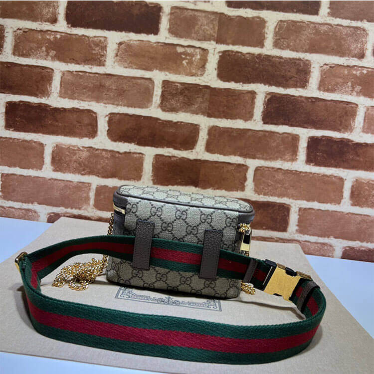 Replica Gucci Ophidia GG Belt Bag 699765 96IWG 8745 (4)
