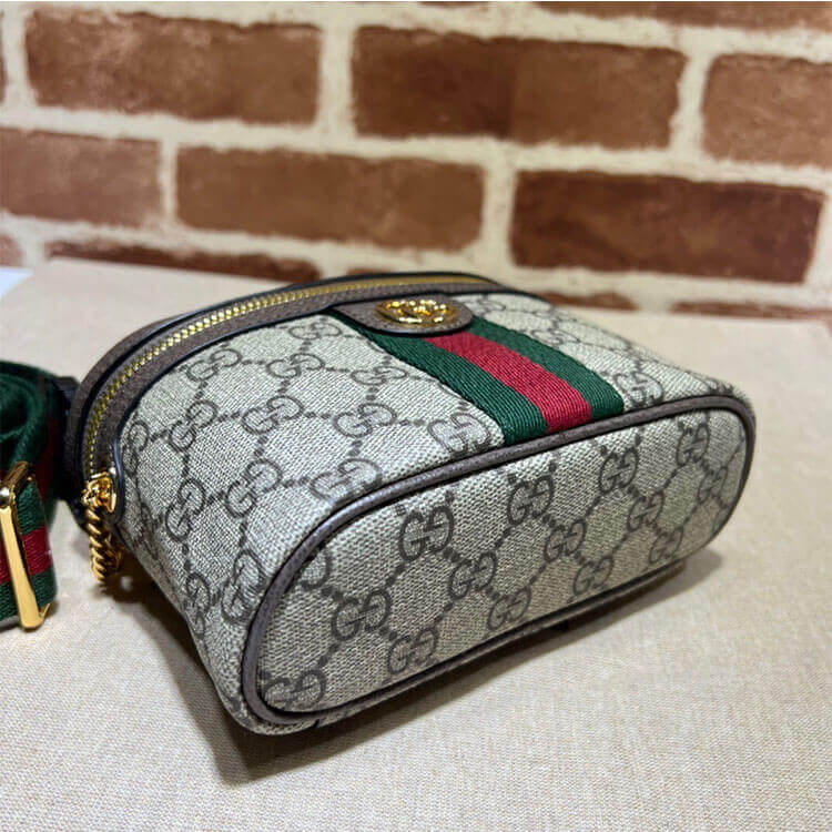 Replica Gucci Ophidia GG Belt Bag 699765 96IWG 8745 (5)