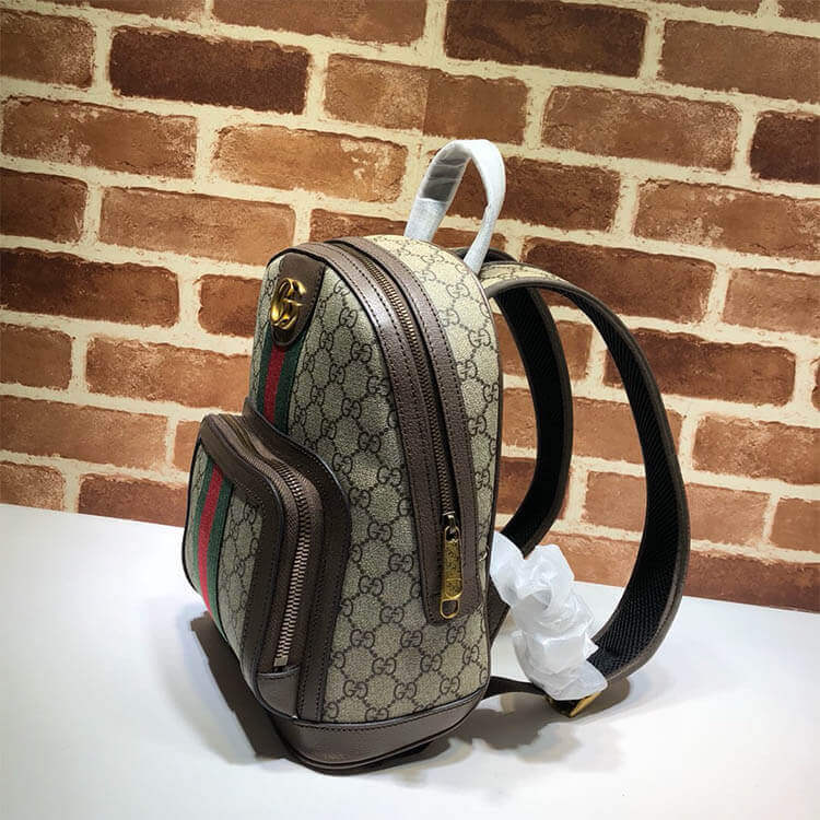 Replica Gucci Ophidia GG Small Backpack 547965 9U8BT 8994 (3)